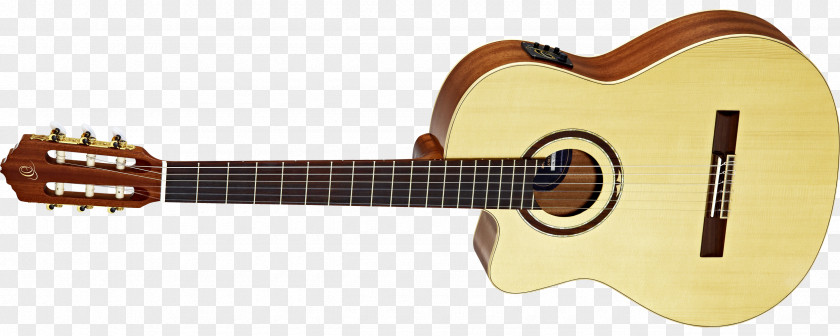 Amancio Ortega Musical Instruments Acoustic Guitar String Tiple PNG