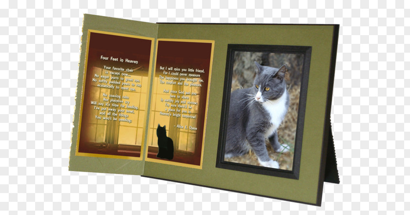 Cat Pet Heaven Funeral Home Inc A Sweet Remembrance Animal Loss PNG
