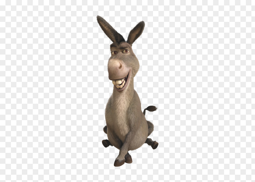 Donkey Shrek Icon Puss In Boots Lord Farquaad PNG