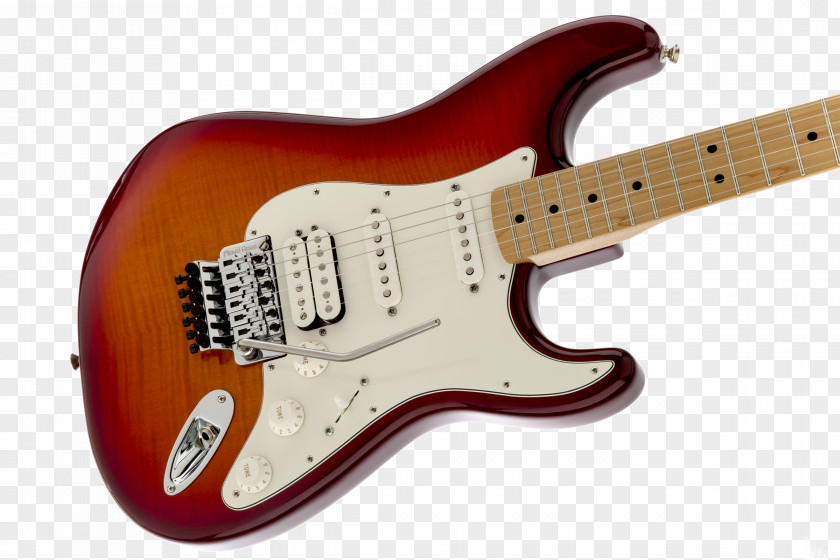 Electric Guitar Fender Stratocaster Fingerboard Vibrato Systems For Floyd Rose Musical Instruments Corporation PNG