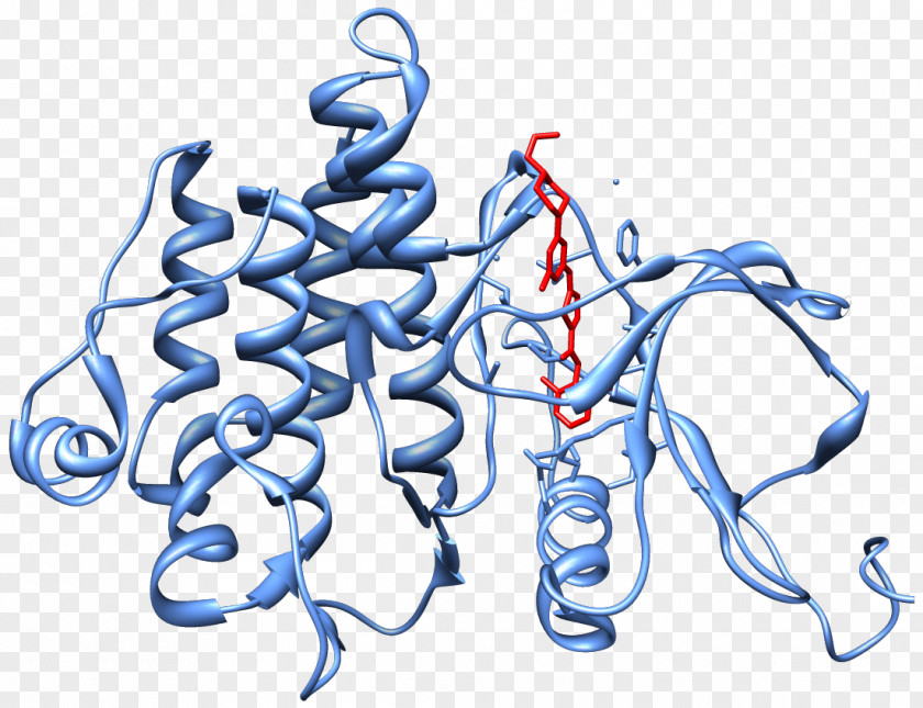 Nilotinib Bcr-Abl Tyrosine-kinase Inhibitor Philadelphia Chromosome PNG