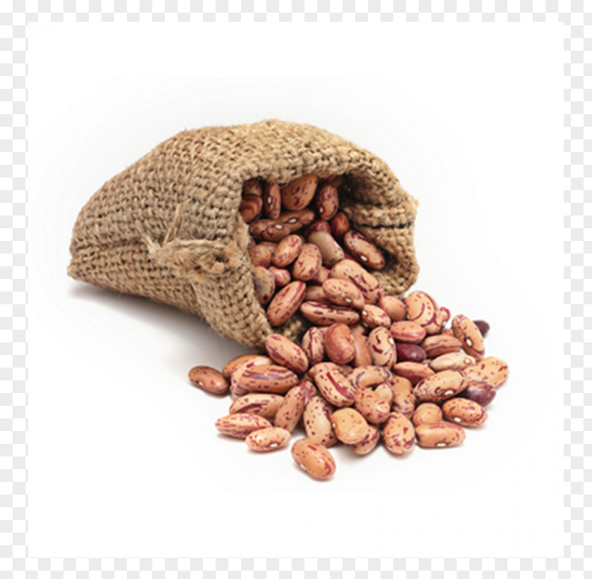 Pea Bean Nut Food Legume PNG