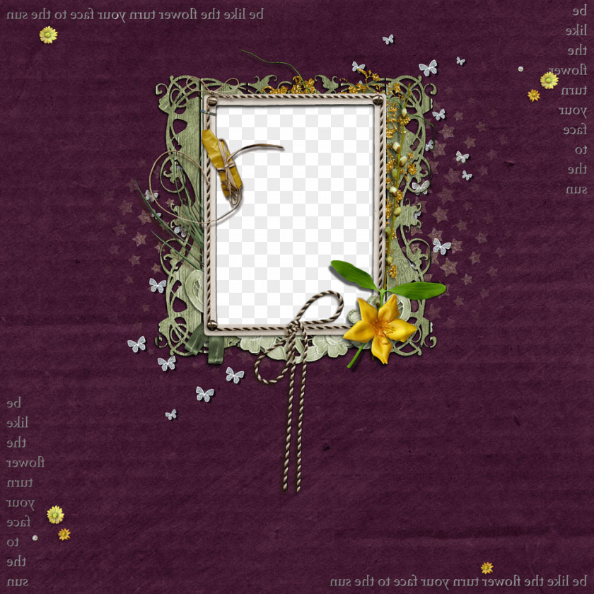Rectangle Plant Picture Frame PNG
