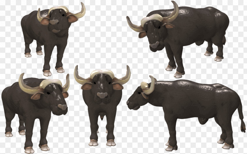 Buffelo Transparency And Translucency Water Buffalo Cattle African Spore American Bison PNG