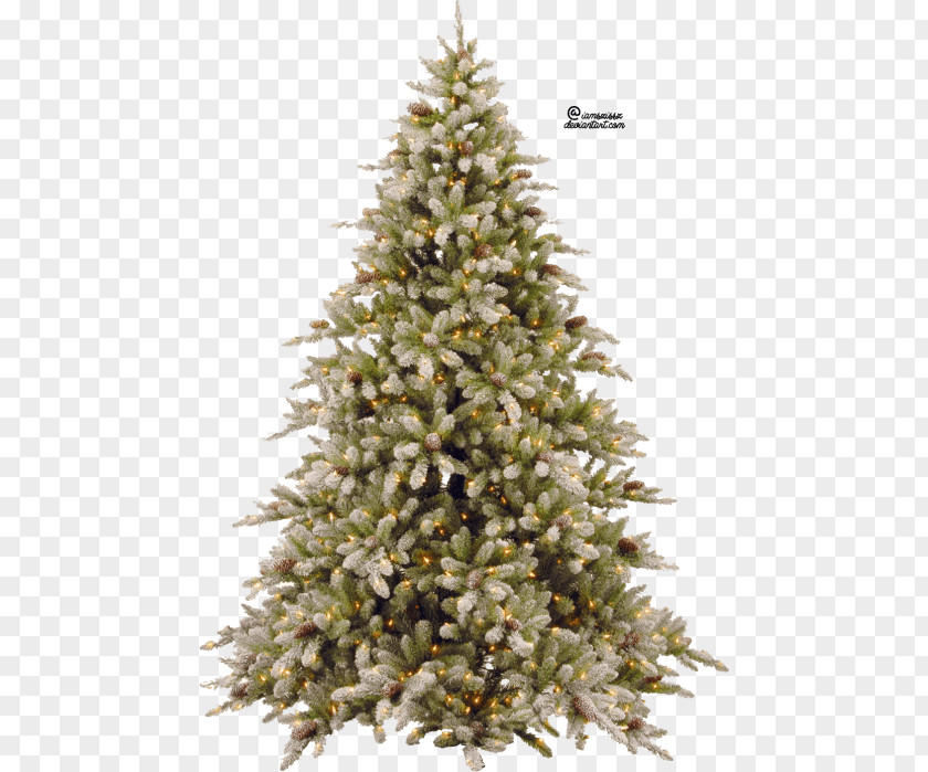 Christmas Tree Day Clip Art Transparency PNG