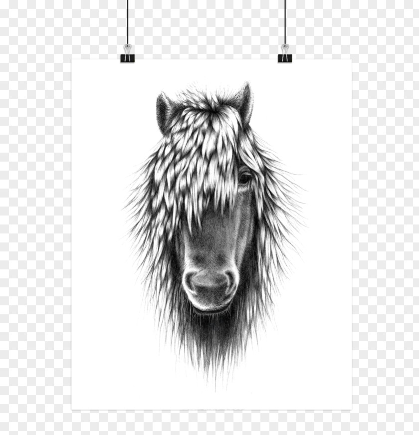 Horse Illustration Drawing Poster Image PNG