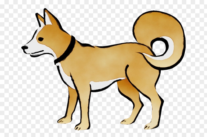 Line Art Canaan Dog Breed Clip Cartoon PNG
