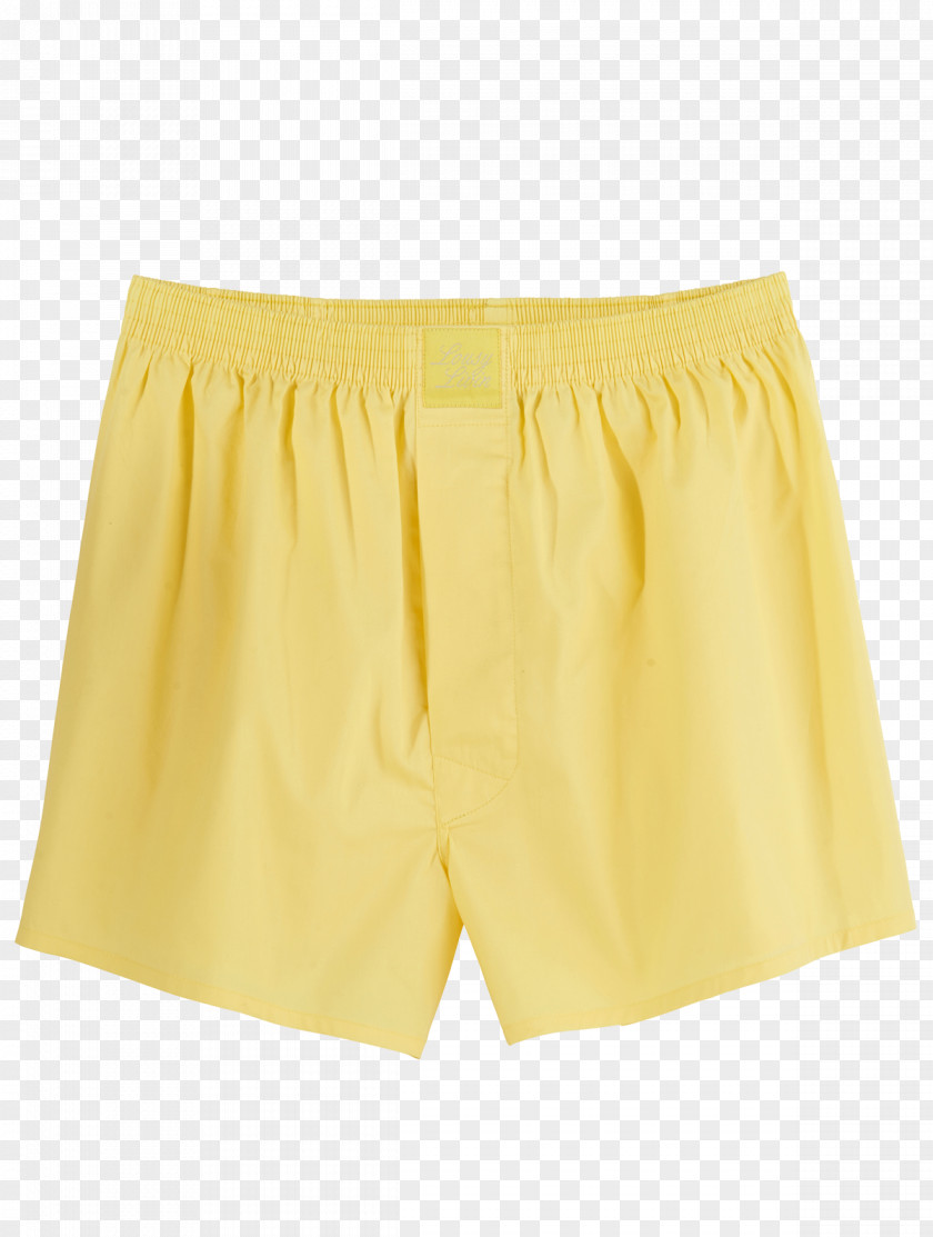 Trunks Underpants Waist Shorts Swimsuit PNG