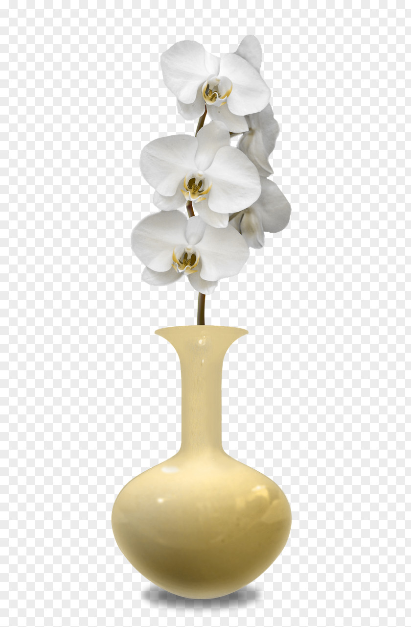 Vase Decorative Arts Flowerpot PNG