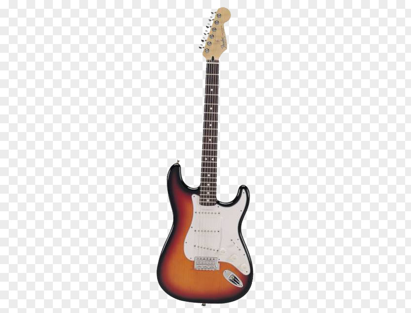 WORD BURST Fender Stratocaster Guitar Standard Musical Instruments Corporation PNG