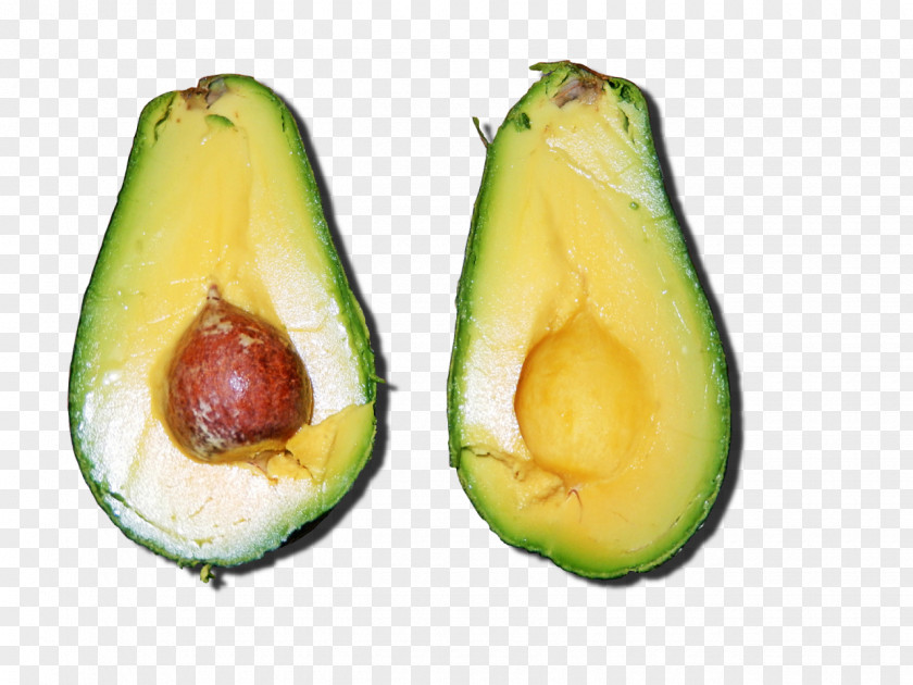 Avocado Food Ingredient Blog PNG