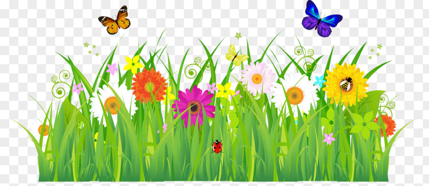 Flower Stock Photography Clip Art PNG