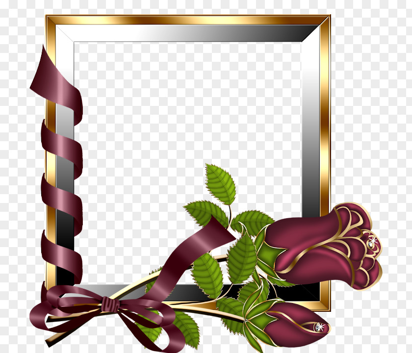 Venusia Frame Picture Frames Image Editing Online Photo PNG