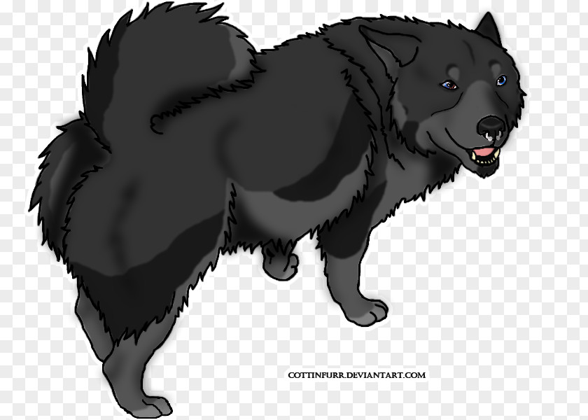 Werewolf Dog Breed Schipperke Snout PNG
