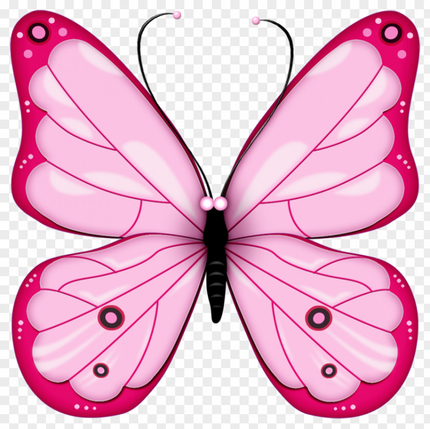 Butterfly Clip Art Openclipart Image Free Content PNG