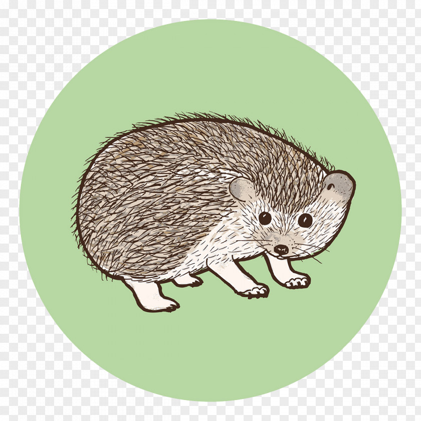 Cute Mouse Whiskers Illustration PNG
