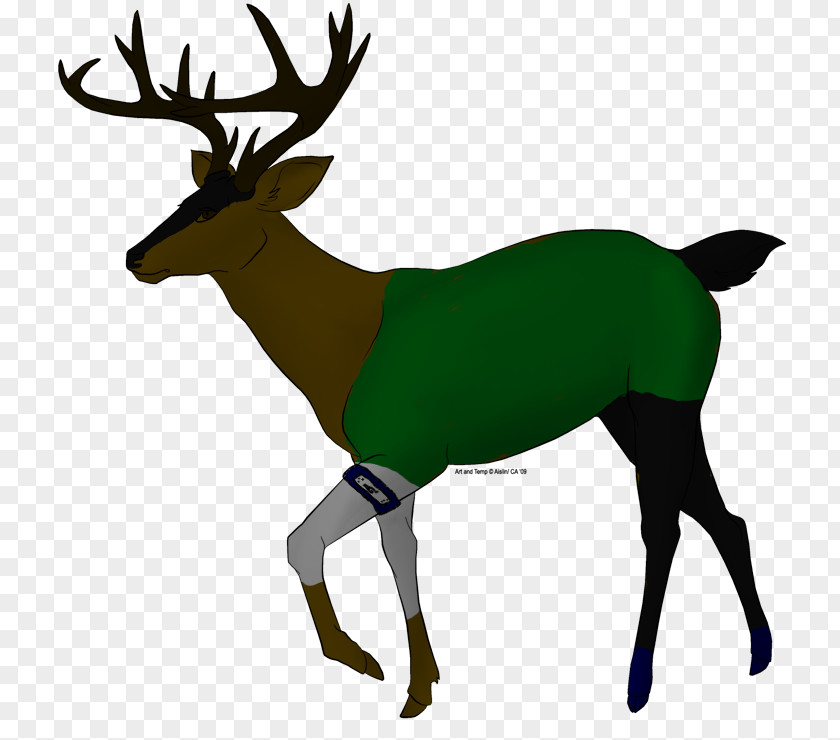 Deer Elk Reindeer Shikamaru Nara Antler PNG