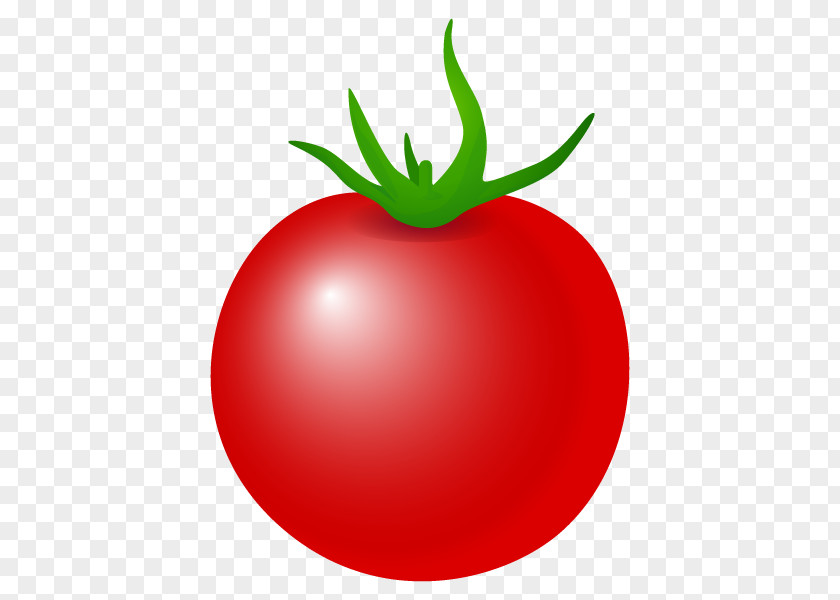 Plum Tomato Film Criticism Rotten Tomatoes Mobile App PNG