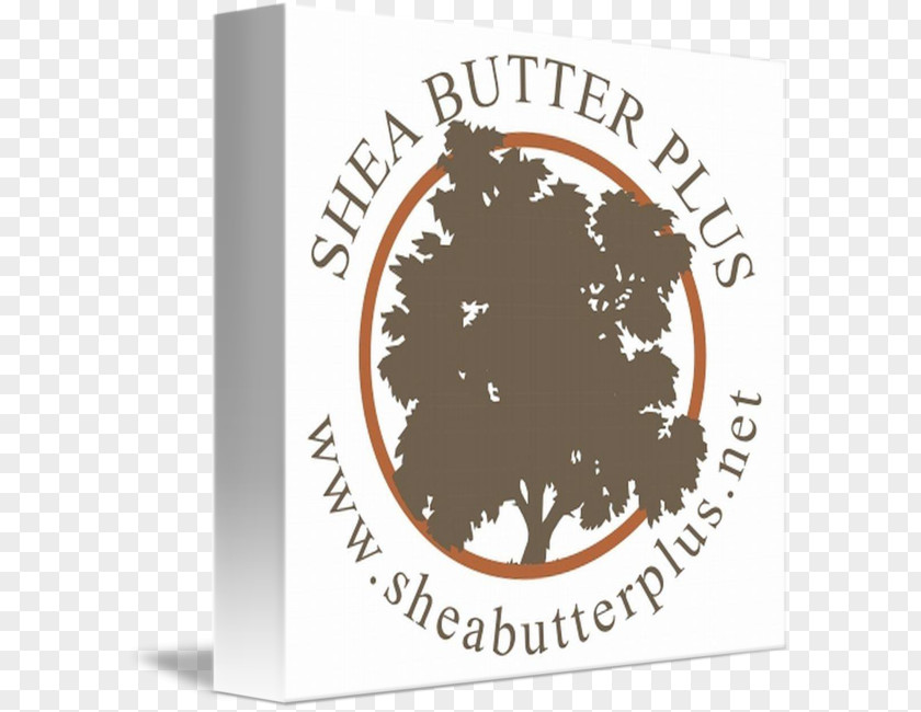 Shea Nut Tree Brand Font PNG