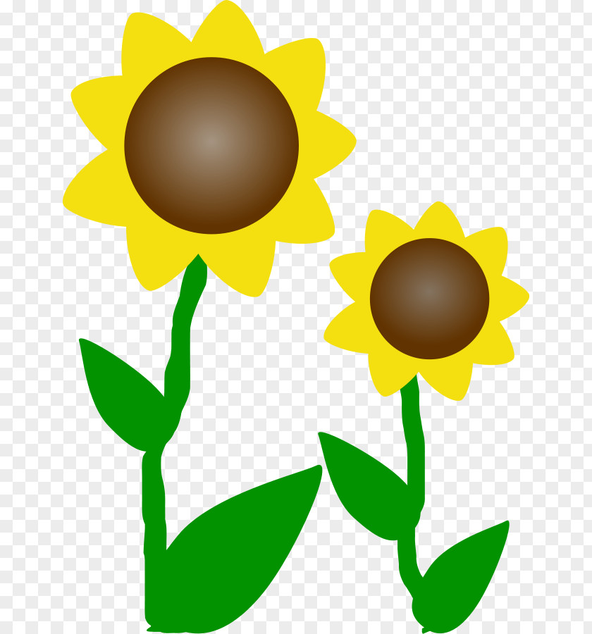 Sunflower Yellow Flowers Common Iron Man Clip Art PNG