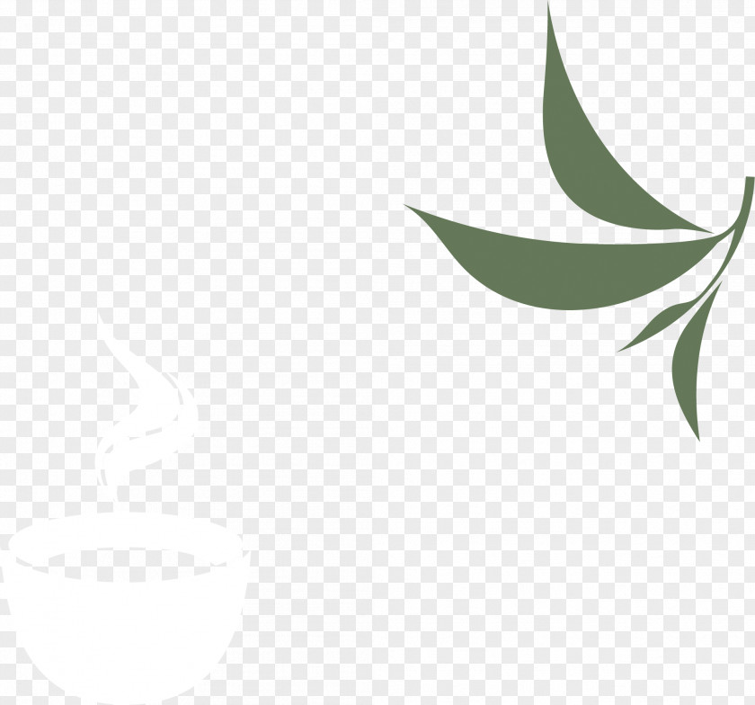 Tea Teapot Logo Leaf Tree Font PNG
