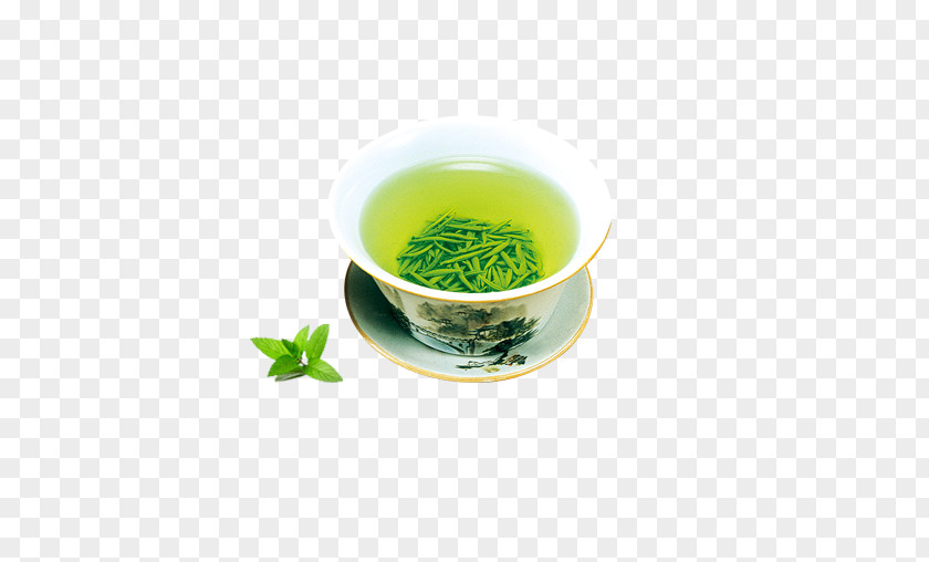 A Cup Of Tea Green Gyokuro Mate Cocido Bancha PNG
