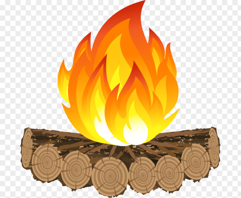 Campfire Camping Clip Art PNG