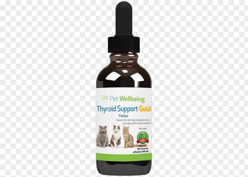 Cat Dog Pet Felidae Dietary Supplement PNG
