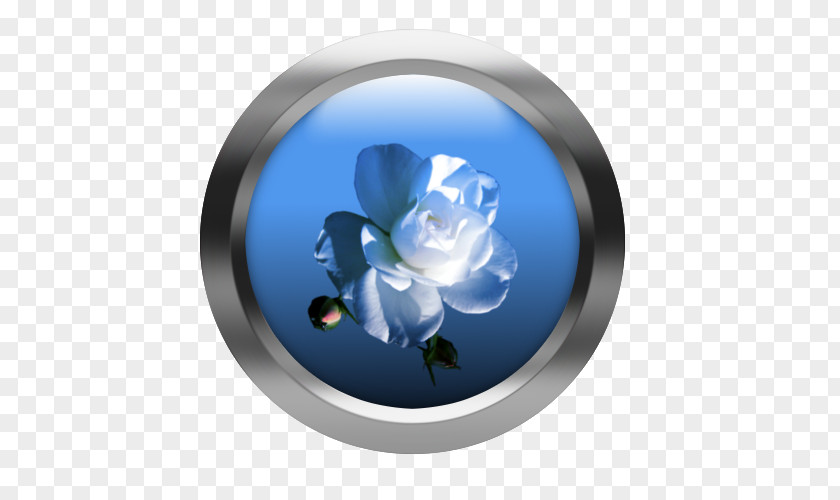 Creative Web Buttons Rose Family Cobalt Blue Petal Flower PNG