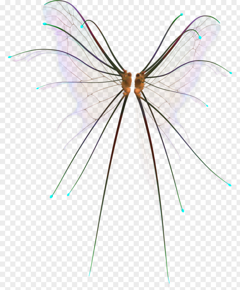 Dragonfly Butterfly Insect Pollinator Fairy Tale PNG