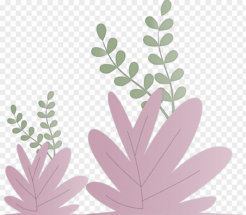 Grass Plant PNG