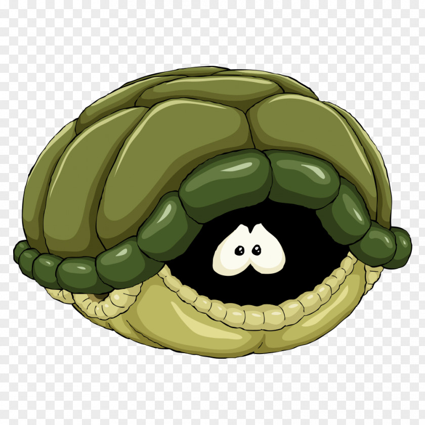 Painted Turtle Shell Vector Graphics Stock Illustration PNG