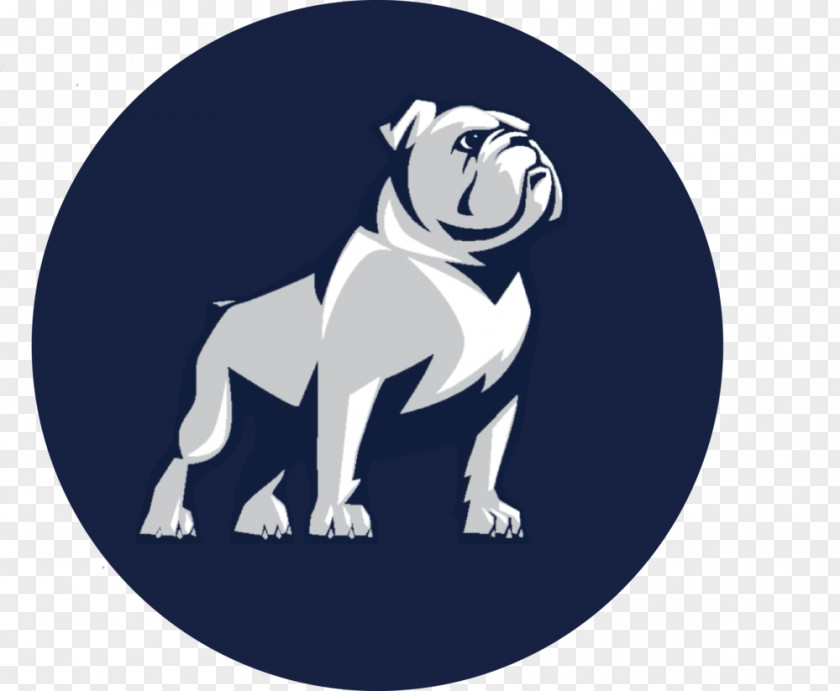 Samford University Bulldogs Football Auburn Of Alabama Men's Basketball PNG