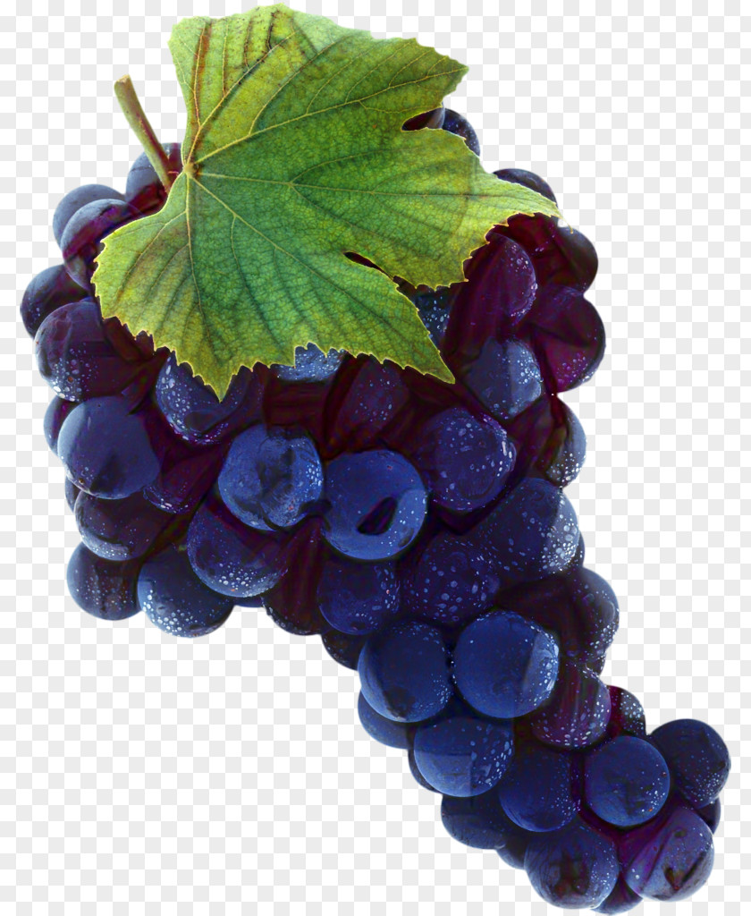 Snack Grape Seed Extract Leaves Background PNG