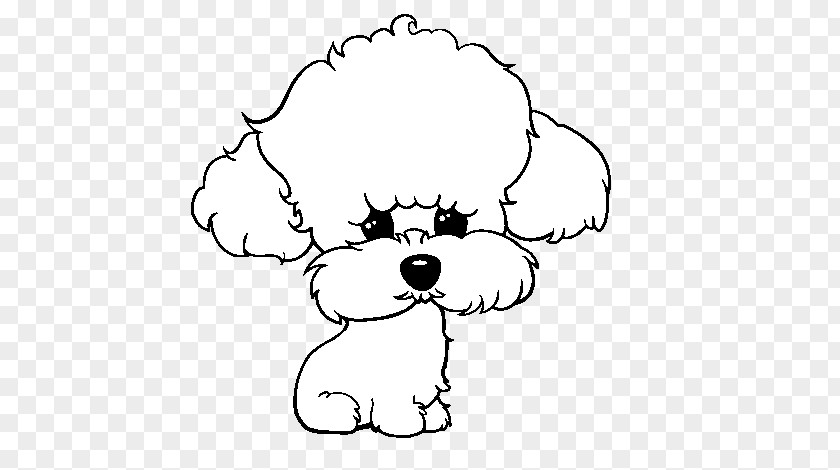 Toy Poodle Pug Drawing PNG