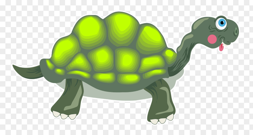 Turtle Tortoise Drawing Clip Art PNG