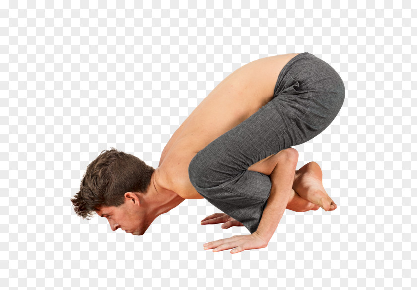 Yoga Bhujapidasana Ashtanga Vinyasa Arm PNG