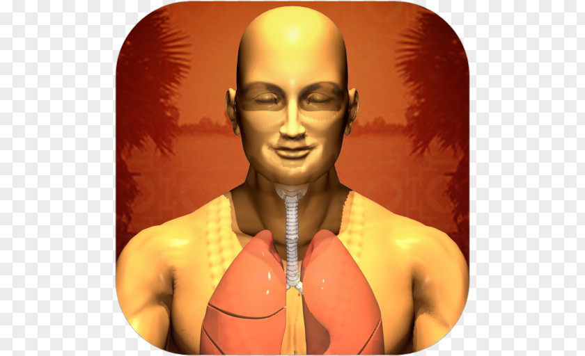 Apple Toning Exercises App Store Pranayama PNG