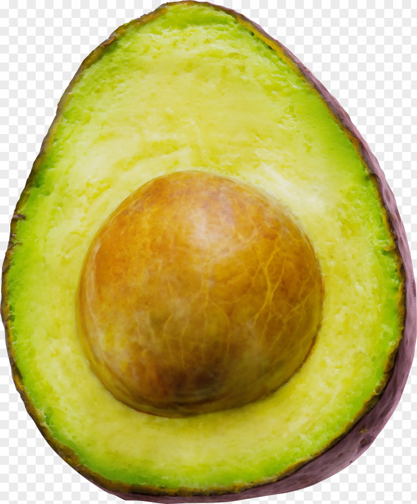 Avocado PNG