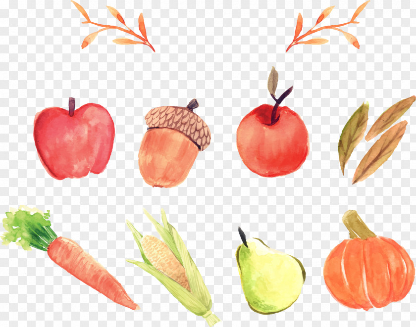 Cartoon Painted Apple Vegetables Euclidean Vector Icon PNG
