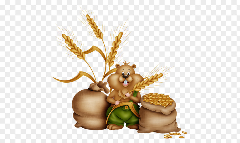 FOOTER Food Animal Commodity Grasses Family PNG