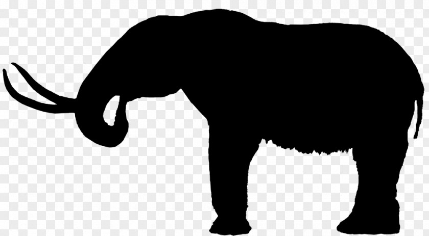 Indian Elephant African Dog Clip Art Mammal PNG