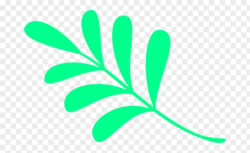 Leaf Green Plant Stem H&M Clip Art PNG