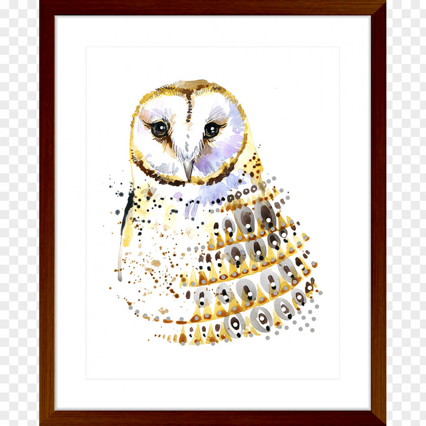 Owl Watercolor Painting Poster Photography PNG