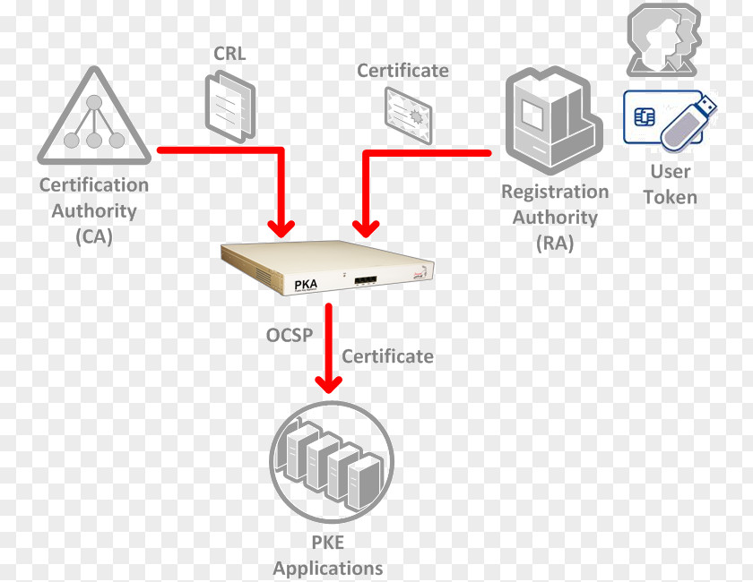 Public Key Infrastructure Security Token Hardware Module Public-key Cryptography PNG