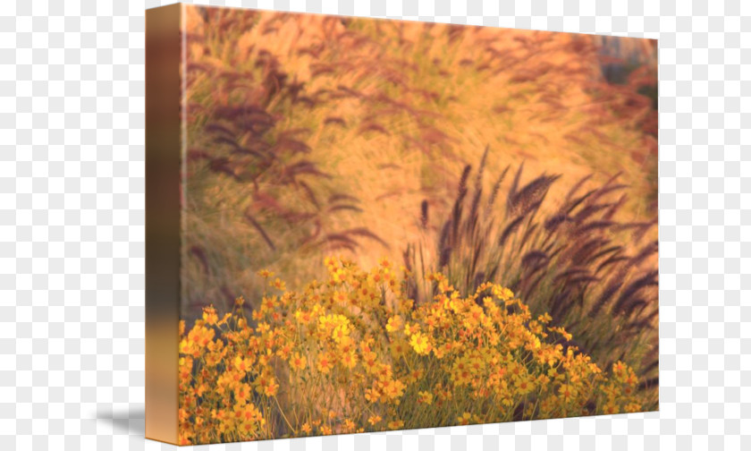 Waves Yellow Gallery Wrap Canvas Wood /m/083vt PNG