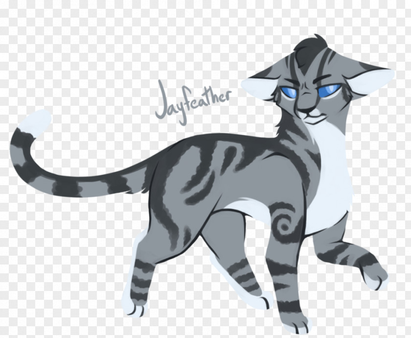 Cat Whiskers Warriors Drawing Firestar PNG