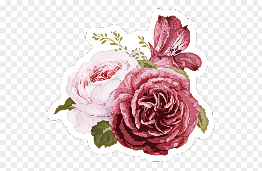 Garden Roses PNG