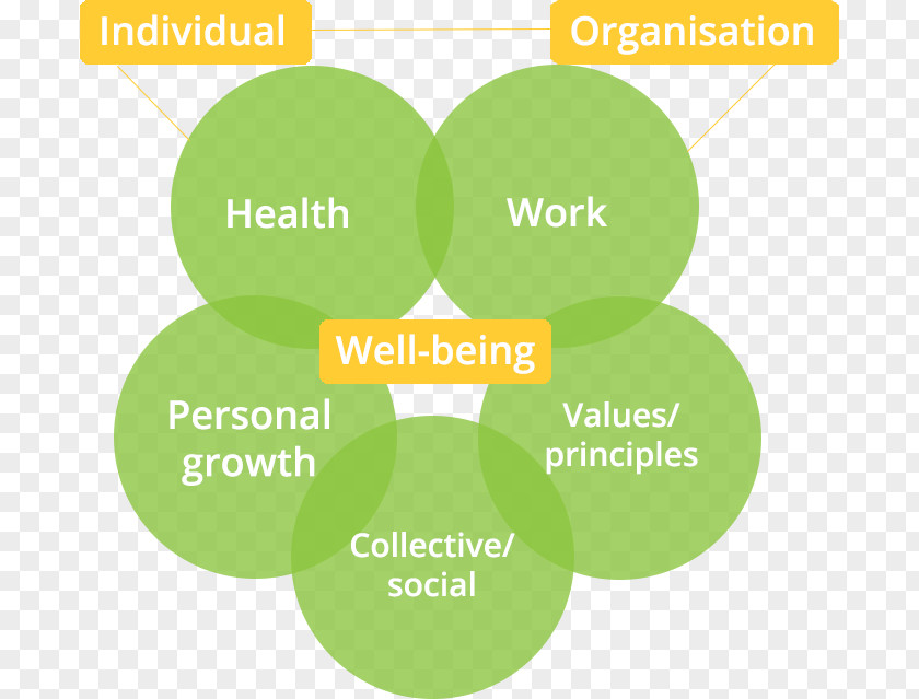 Physical Development Domain Six-factor Model Of Psychological Well-being Health Organization Name PNG