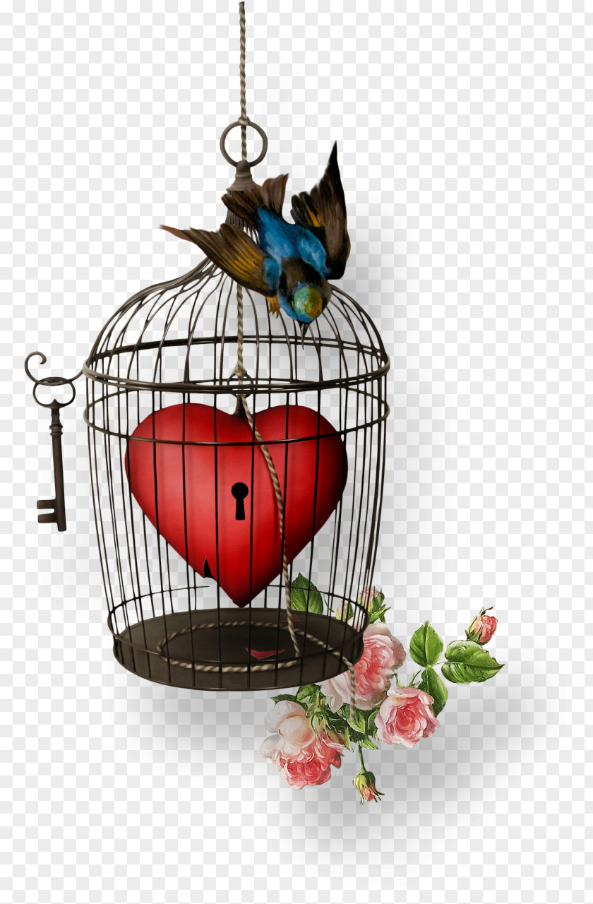 Bird Cage Vector Dem Leben Wieder Vertrauen: Prinzipien Der Heilung Von Mißbrauch Und Seelischen Verletzungen Love Image PNG